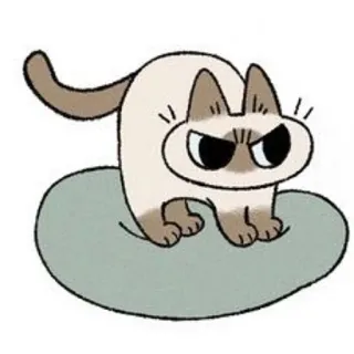 😡 kucing, siam, marah, kartun, hewan whatsapp sticker