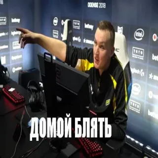 🎱 ДОМОЙ БЛЯТЬ e스포츠, 게임, 공격적인, 러시아어, 욕설 whatsapp sticker