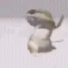🦎