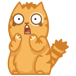 😱