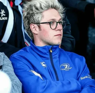 🌿 Niall Horan LEINSTER Niall Horan, One Direction, cantante, celebridad, gafas, Leinster Rugby telegram sticker