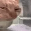 😑