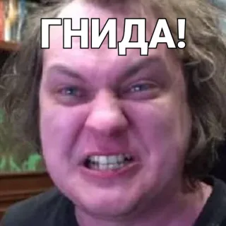 👿 ГНИДА! beleidigend, Beschimpfung, wütend, russisch telegram sticker
