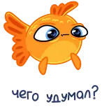 Золотая рыбка @FOXDIZIGNERLIFE @dmitrieva_motion telegram stickers