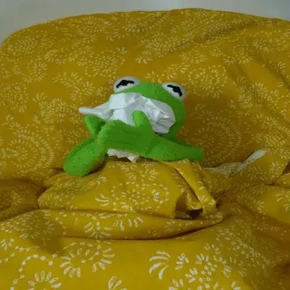 🤧 grenouille, peluche, jouet, vert, jaune telegram sticker