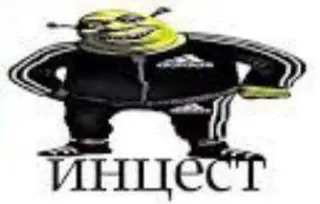😎 Shrek инцест シュレック, ミーム, アディダス, 面白い telegram sticker