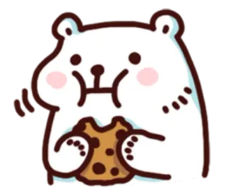 🍪 orso, animale, carino, biscotto, cibo, snack whatsapp sticker