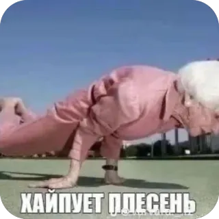 🫥 ХАЙПУЕТ ПЛЕСЕНЬ meme, elderly, fitness, humor, pushup, active senior, funny telegram sticker