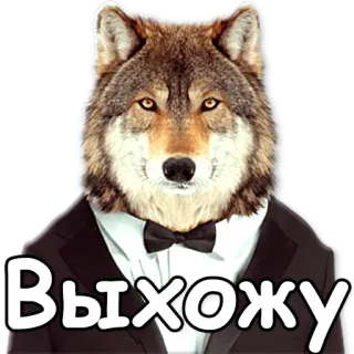 💨 Выхожу loup, costume, animal, russe, autocollant telegram sticker