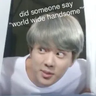 😄 Jin did someone say “world wide handsome” kpop, 진, 월드와이드핸섬, 웃긴, 밈 telegram sticker