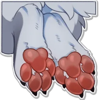 🐾 telegram sticker
