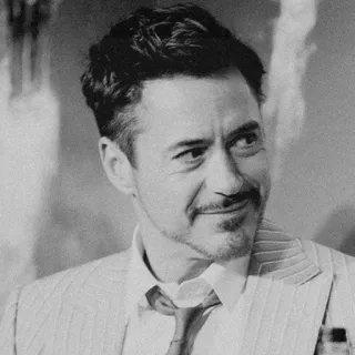 🔩 Robert Downey Jr. Robert Downey Jr., acteur, portrait, homme, célébrité telegram sticker
