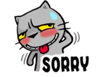 ☺️ SORRY Katze, Entschuldigung, Tut mir leid, Cartoon, Emoticon, Meme telegram sticker