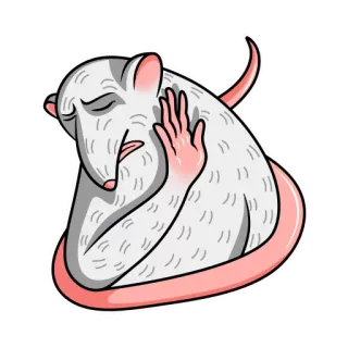 👎 rata, animal, dibujo animado, triste, gesto, ilustración telegram sticker