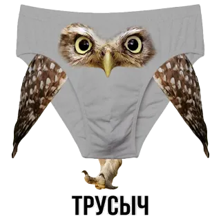 🦅 ТРУСЫЧ owl, underwear, funny, meme whatsapp sticker