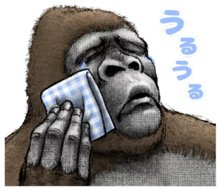 😢 うるうる gorila, chorando, triste, animal, limpando lágrimas telegram sticker