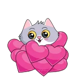 💞 แมว, หัวใจ, น่ารัก, สติกเกอร์, สัตว์, การ์ตูน telegram sticker