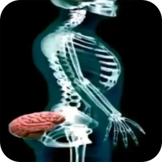 🧠 x-ray, skeleton, brain, anatomy, medical, surreal, humor telegram sticker