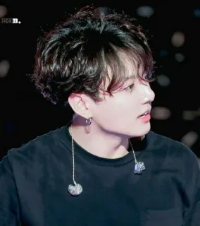 ❔ портрет, мужчина, человек, серьги, K-pop, певец whatsapp sticker