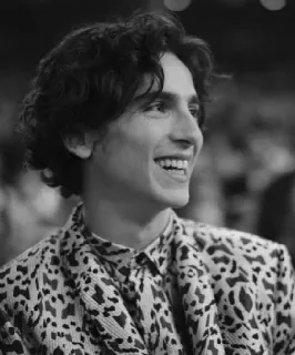 🦇 Timothée Chalamet actor, celebridad, retrato, hombre, sonrisa telegram sticker