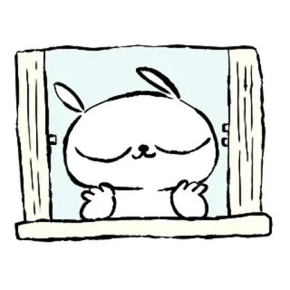 💞 conejo, ventana, lindo, animal, dibujos animados, kawaii whatsapp sticker