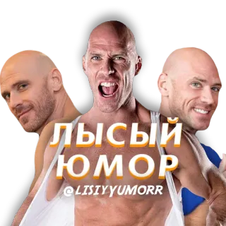 Лысые Стики @lisiyYumor telegram stickers