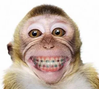 🌟 monkey telegram sticker