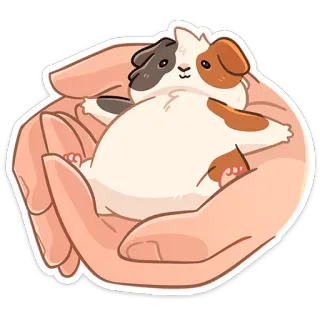 🤲 cobaya, animal, mascota, lindo, manos, roedor, mamífero, animal doméstico telegram sticker
