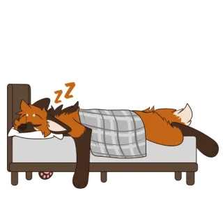 🛌 zz dormire, volpe, cartone animato, letto, animale, assonnato telegram sticker