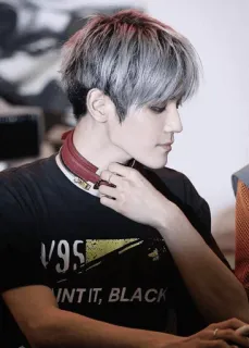 🕸 V95
PAINT IT, BLACK man, silver hair, portrait, t-shirt, asian, k-pop telegram sticker