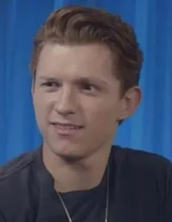 🥀 Tom Holland 톰 홀랜드, 유명인, 배우, 인물 사진 telegram sticker
