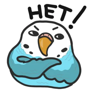 🙅‍♂️ HET! 鸟, 鹦鹉, 不, 俄语, 生气, 反对, 不同意 telegram sticker