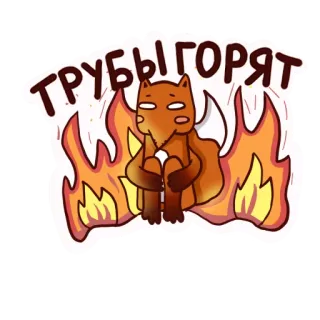 Drunken fox @stickersb2b telegram stickers
