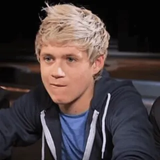 🌙 Niall Horan niall horan, one direction, promi, sänger, musiker telegram sticker