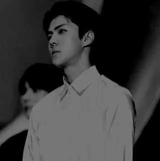 🌜 kpop, idol, singer, sehun, exo, asian, portrait telegram sticker