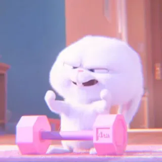 🐰 Snowball The Secret Life of Pets IDEAS rabbit, bunny, animal, weightlifting, ideas, cartoon, the secret life of pets whatsapp sticker