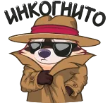 🕵️‍♂️ guaxinim, detetive, gabardine, óculos de sol, chapéu, desenho animado, animal telegram sticker