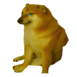 😢 Cheems dog, meme, crying, sad, animal, cheems telegram sticker