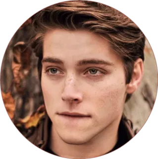 🧺 portrait, homme, personne, visage, tête, garçon telegram sticker