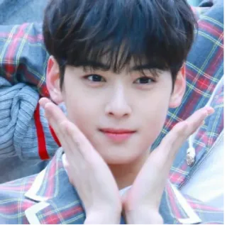 🤗 Cha Eun-woo coréen, acteur, beau, homme, célébrité whatsapp sticker