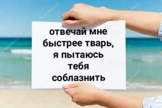 🍄 отвечай мне быстрее тварь, я пытаюсь тебя соблазнить russian, text, insult, meme telegram sticker