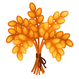 💐