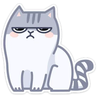 😒 gato, fofo, bravo, rabugento, animal de estimação, animal, desenho animado whatsapp sticker