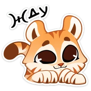 😊 ЖДУ kot, słodki, zwierzę, czekanie, rosyjski telegram sticker