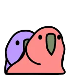 🌈 parrots, birds, animals, cute, pet telegram sticker
