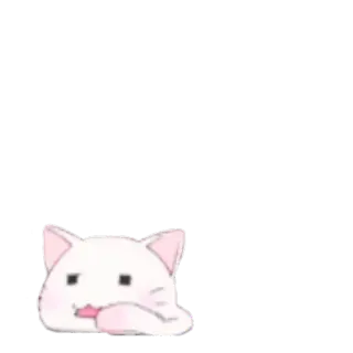 🐱 kat, schattig, dier, sticker, cartoon telegram sticker