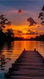 😭 sunset, dock, lake, nature, scenery, landscape, peaceful, golden hour, water, sky telegram sticker