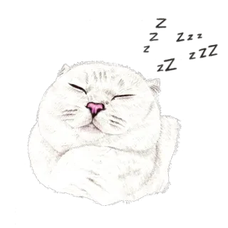 🌙 ZZZ 고양이, 자는, 졸린, 하얀, 동물, 만화, 귀여운, 카와이 telegram sticker