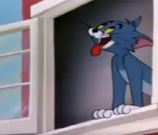 🤍 Tom Cat Tom and Jerry 톰 고양이, 만화, 창문, 웃긴, 고양이 telegram sticker