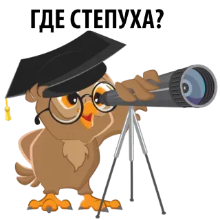 😁 ГДЕ СТЕПУХА? coruja, telescópio, chapéu de formatura, pássaro, texto russo whatsapp sticker
